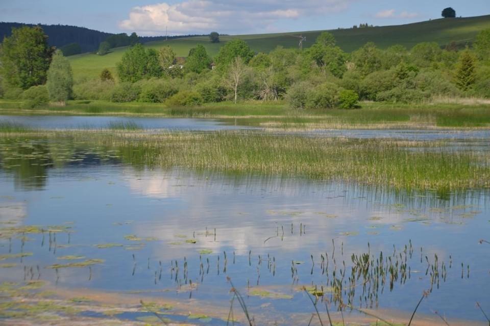 Douce Vallee Vaux-lès-Saint-Claude エクステリア 写真